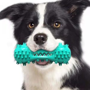 Tough Chew Toy for Aggressive Chewers