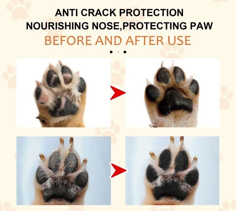 Natural Pet Paw Balm – Soothes, Softens & Protects - Image 4